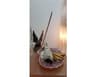 Smudge - Complete Ritual Kit